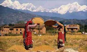 Nepal Farming
